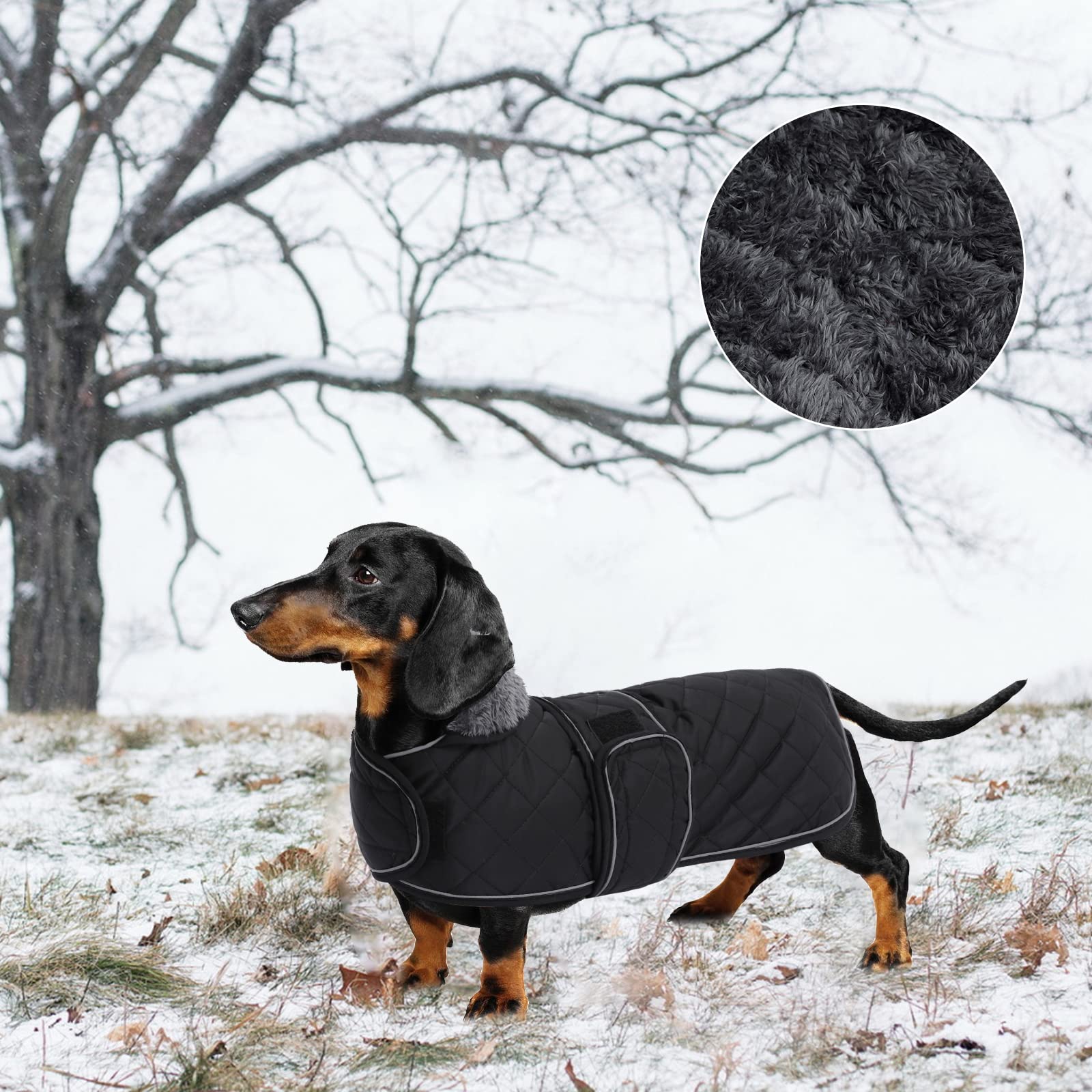 Geyecete waterproof-windproof-dachshund-coat outdoor-use for rainy days