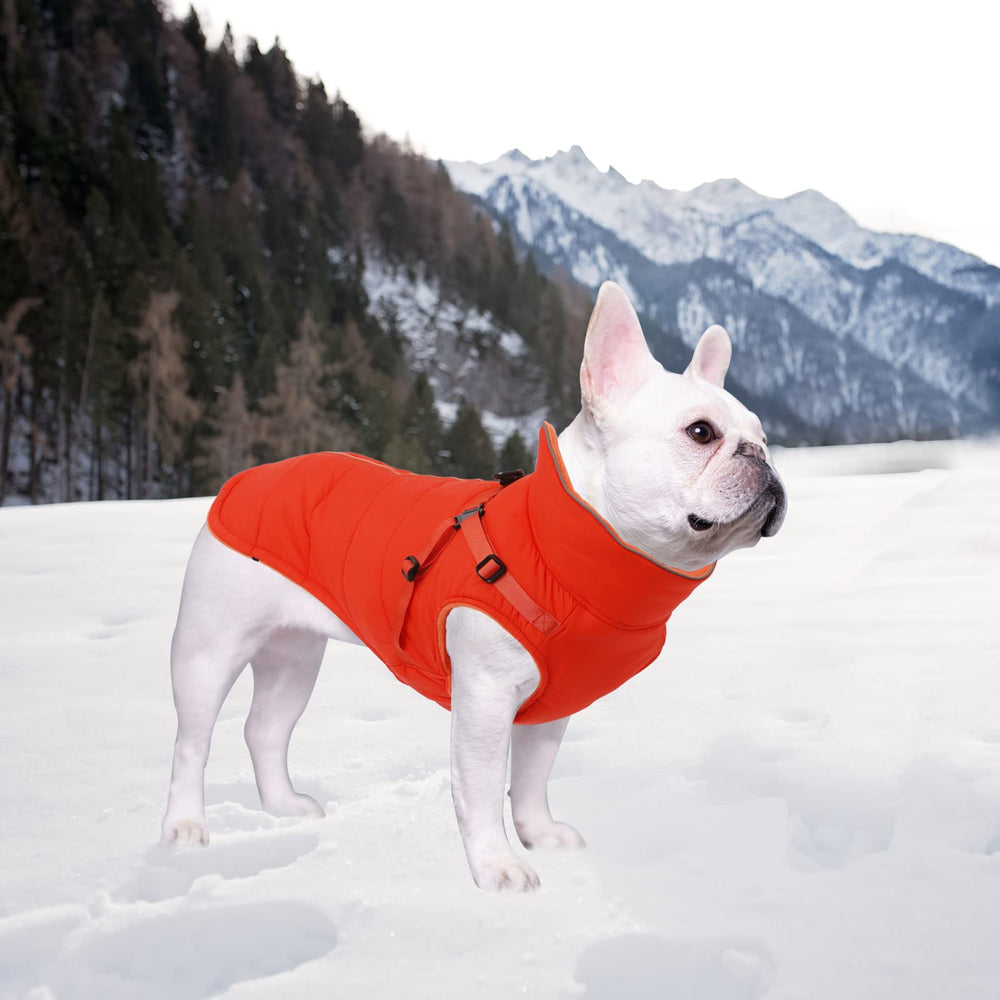 Geyecete coat with cotton name tag and marker pen for pet personalization