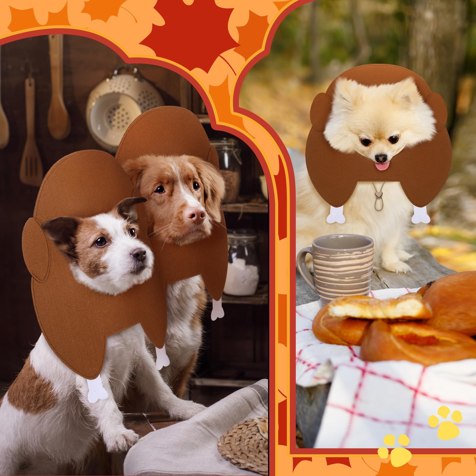 Geyoga pet holiday photoshoot with turkey hat enables memorable seasonal moments.