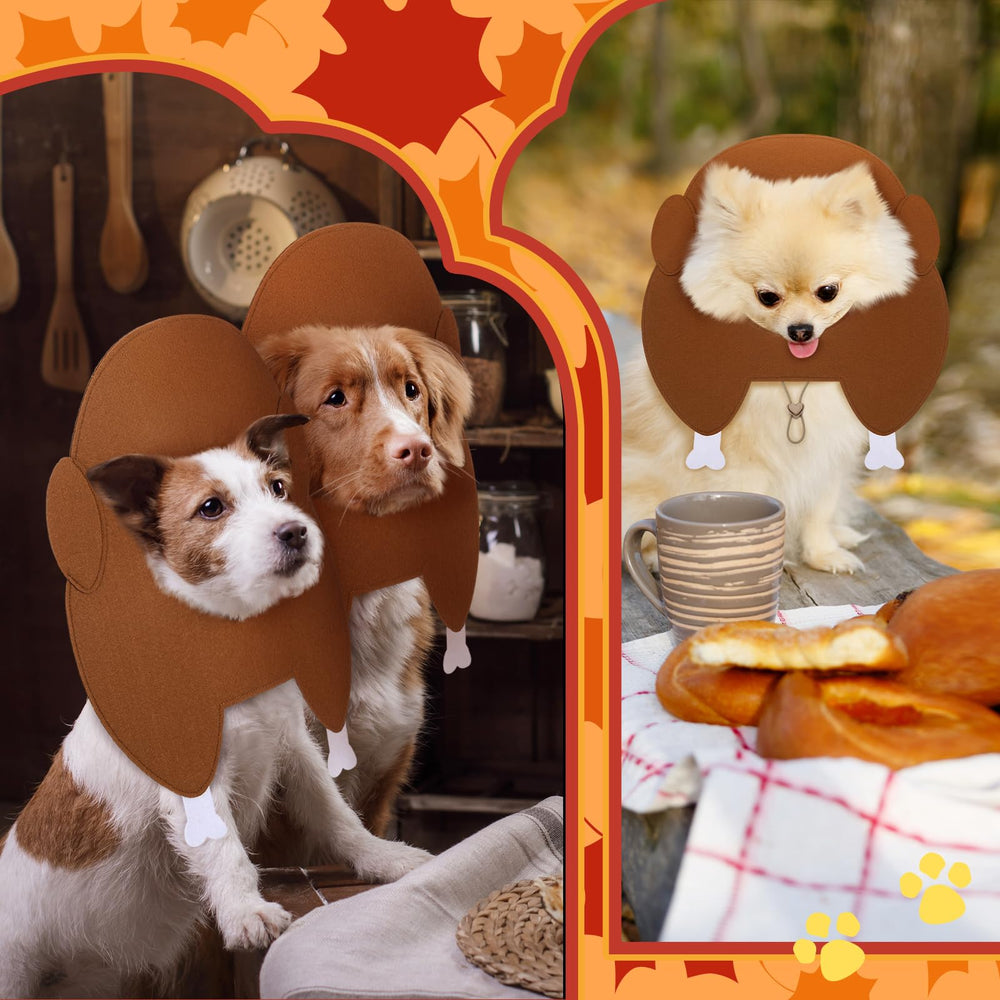 Geyoga pet holiday photoshoot with turkey hat enables memorable seasonal moments.