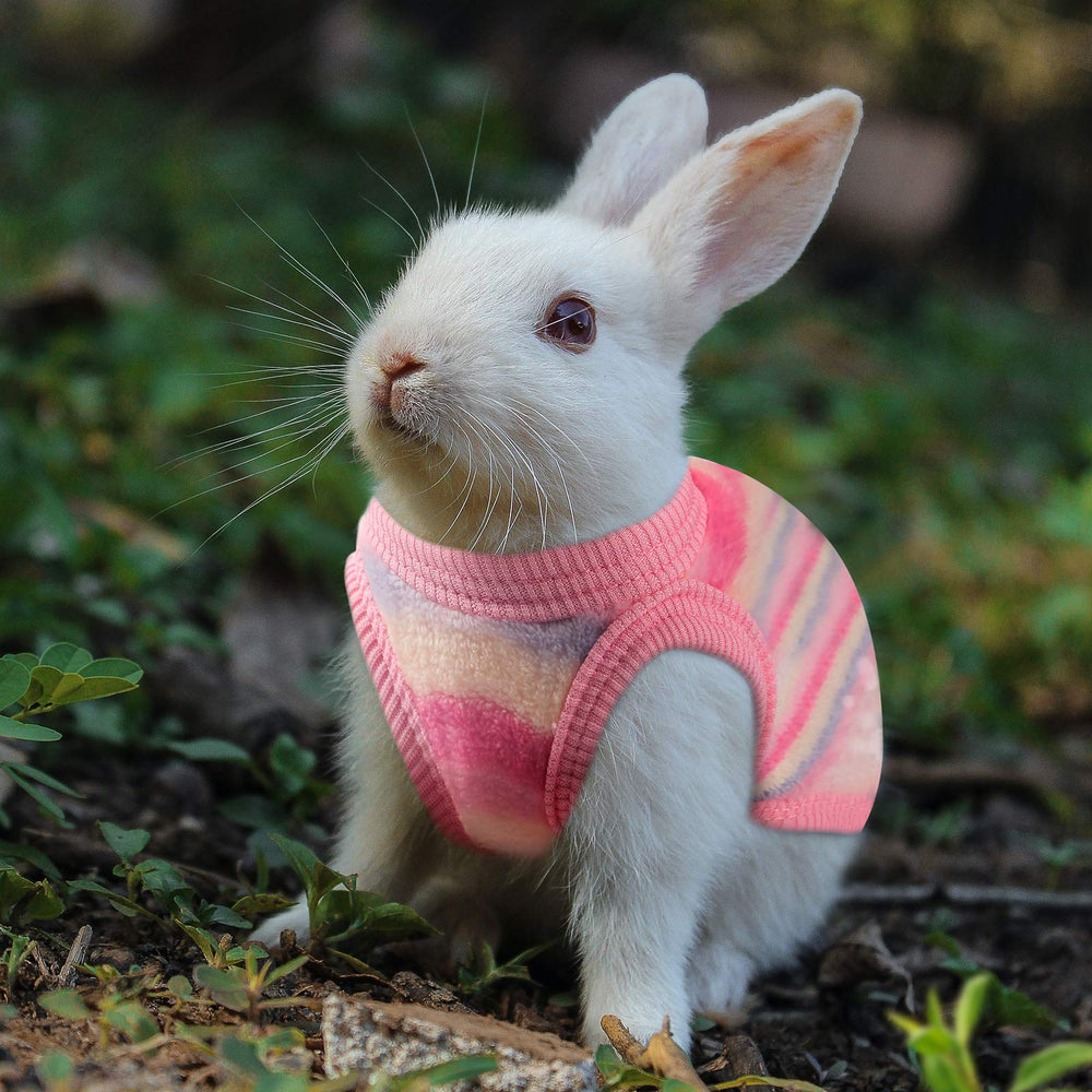 Geyoga small pets vest fit suited for rabbits kittens and ferrets