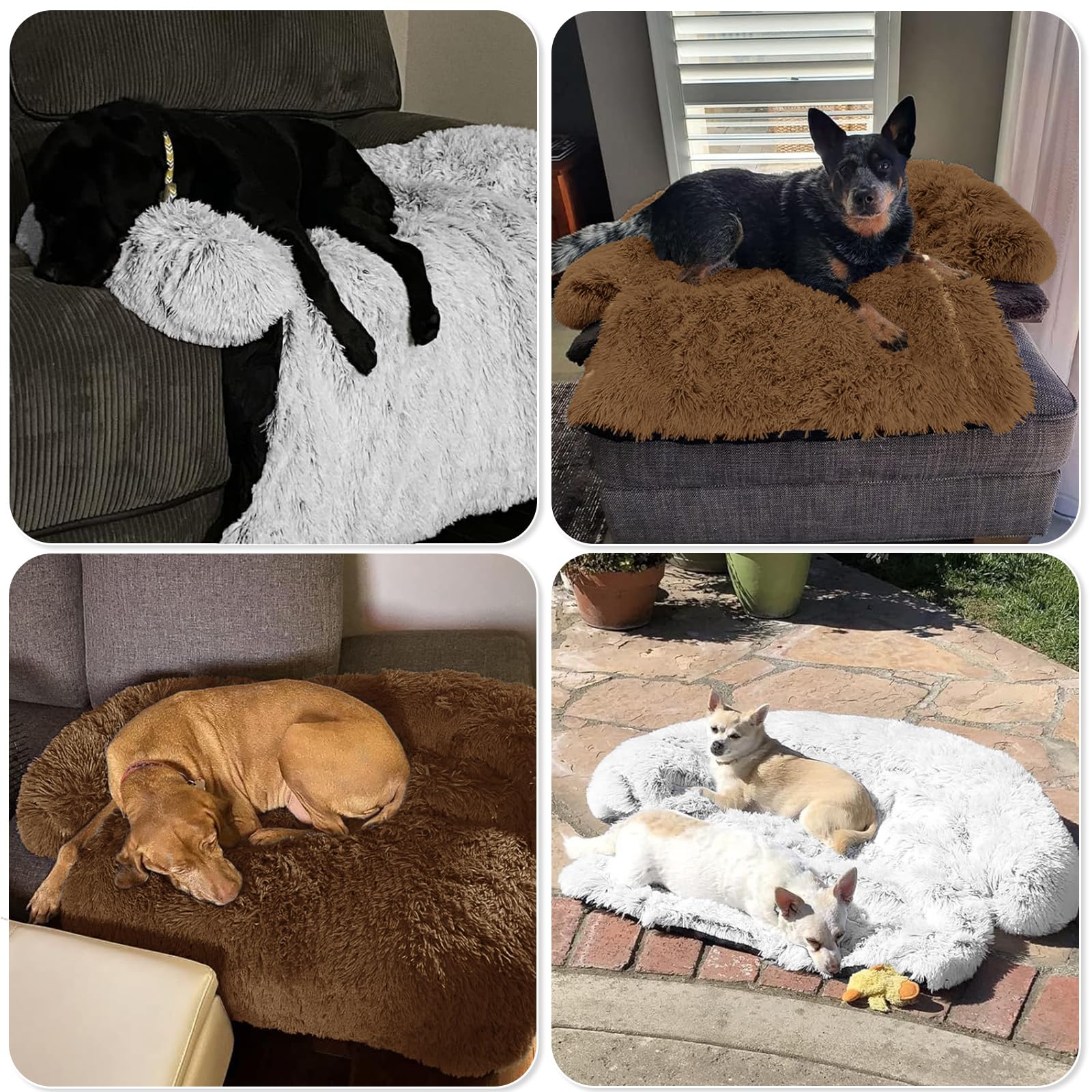 GGIB calming dog bed easy care design helps maintain a tidy home.