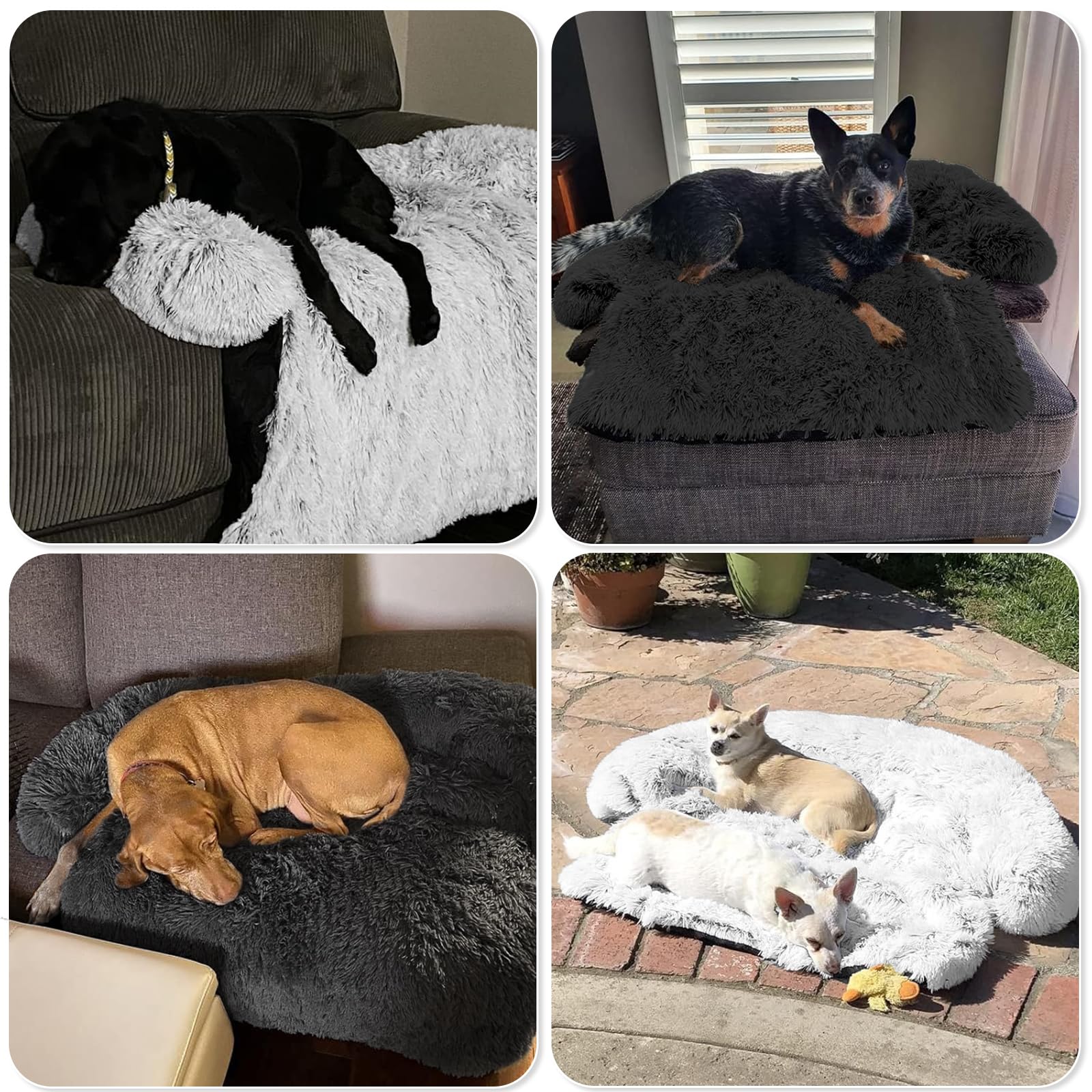 GGIB calming dog bed extra-large 53x39 option provides spacious lounging area.