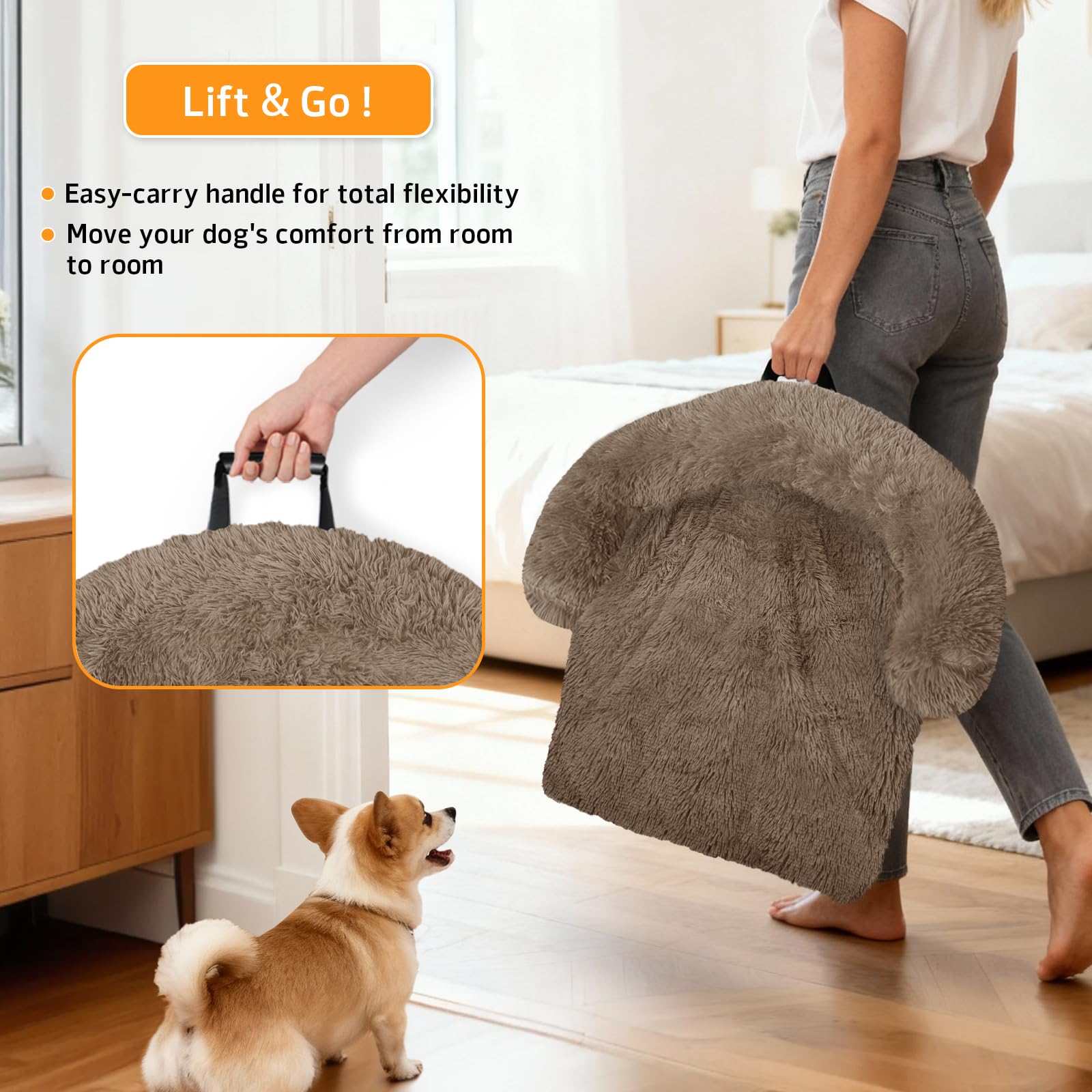 GGIB Calming Dog Bed plush surface conveys warmth and comfort.
