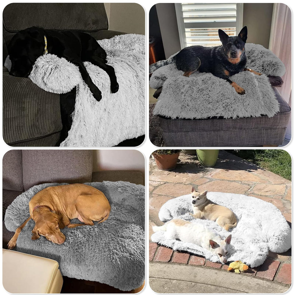 GGIB Calming Dog Bed rolls up for travel and outdoor use.