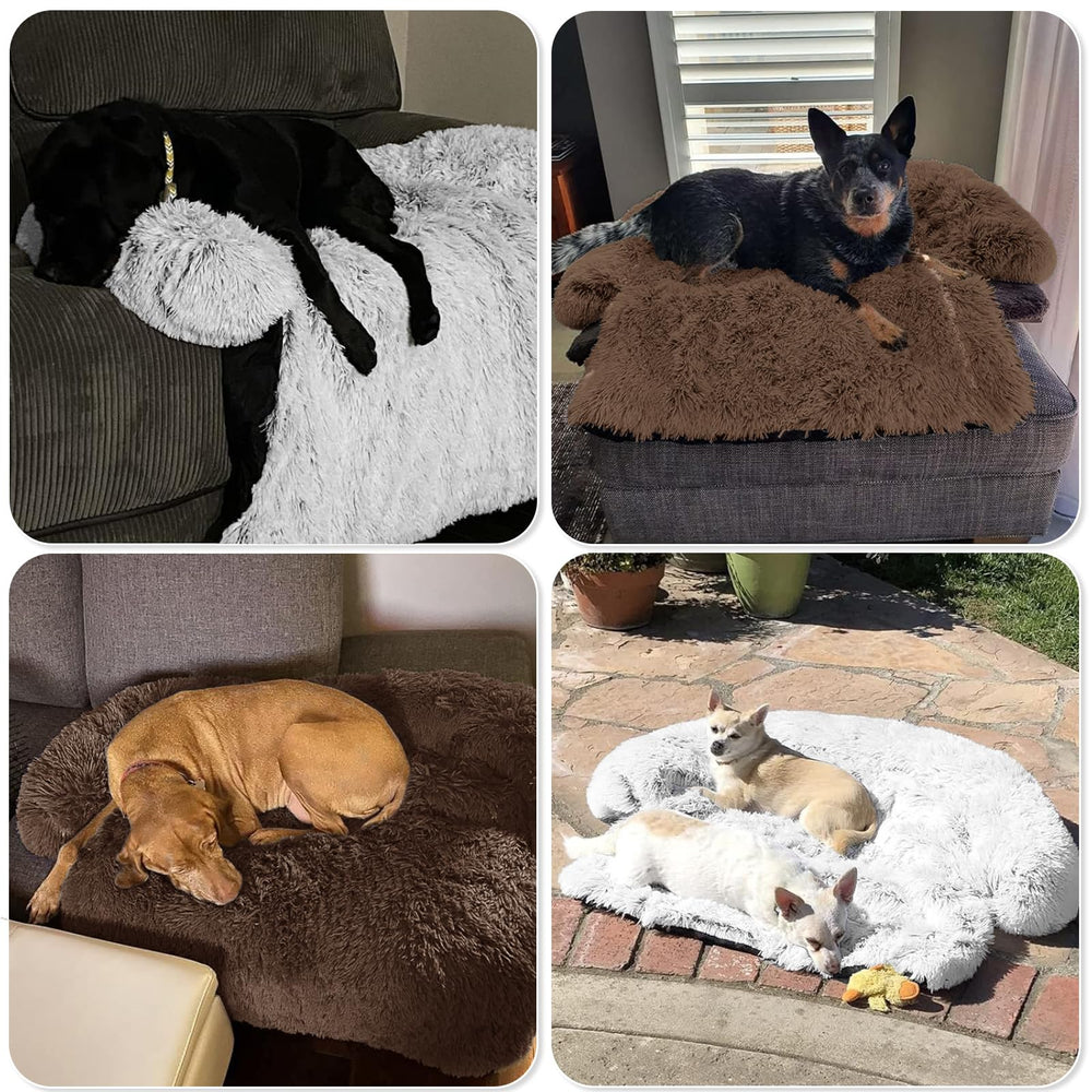 GGIB calming dog bed folds for car trips and travel.