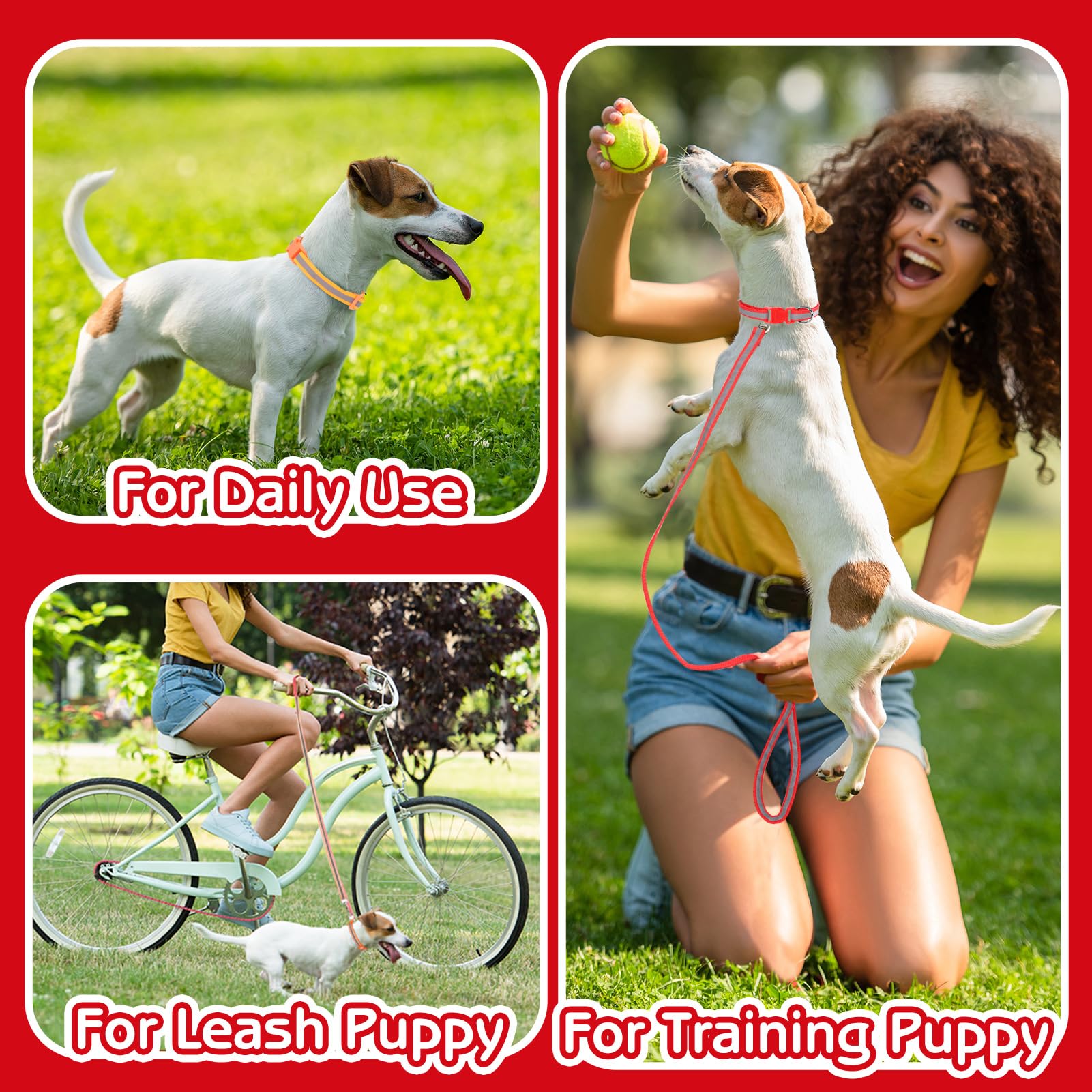 GGSTDDUP durable nylon and metal components ensure long-term pet wear.