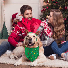 GHSJYO Christmas dog bandanas lamp string motif for festive look