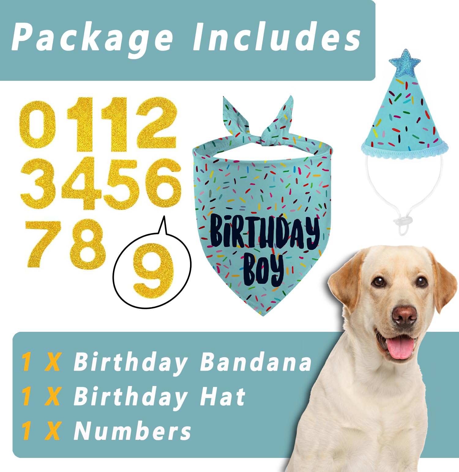 GHSJYO dog birthday gold-foil numbers enhance celebration details