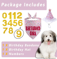 GHSJYO dog birthday hat in pink adds adorable party flair