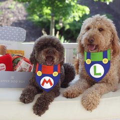 GHSJYO mushroom dog bandanas holiday pack enhances Christmas celebrations.