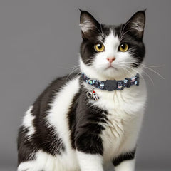 Giecooh cat collar with bells helps locate your cat indoors or outdoors.