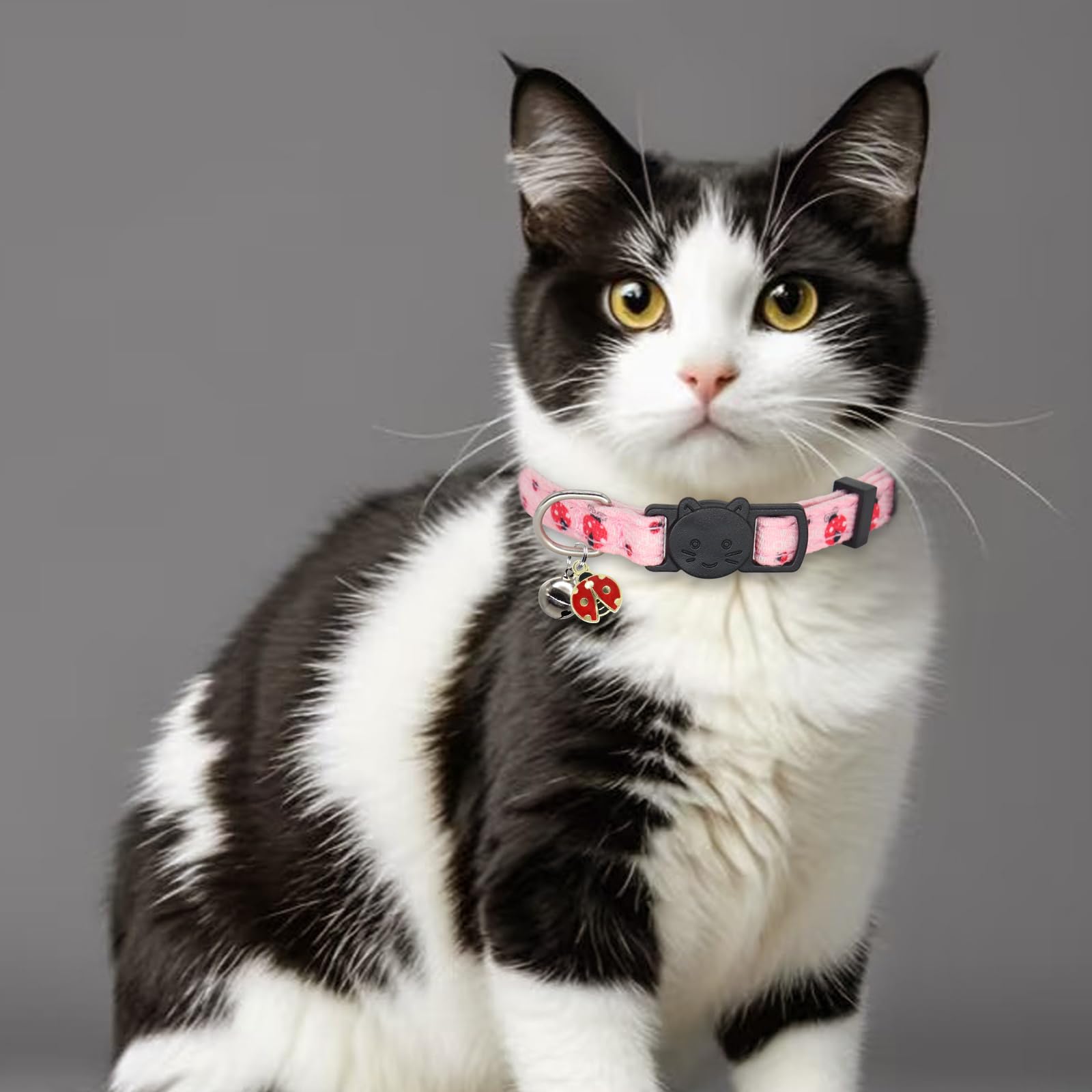 Closeup of Giecooh breakaway bell on collar for audible location cue