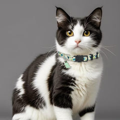 Giecooh cat collar cotton soft material closeup emphasizes breathable everyday wear