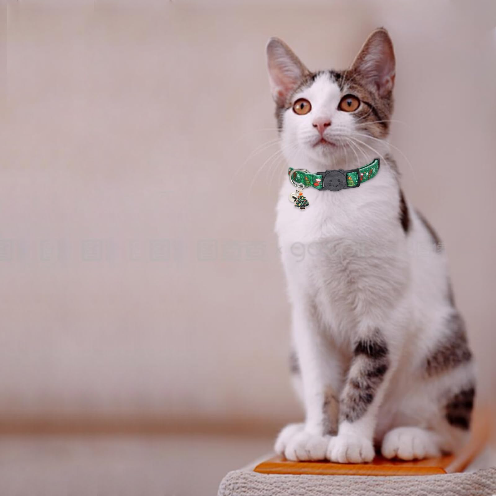 Giecooh kittens and adults adjustable fit for growing pets