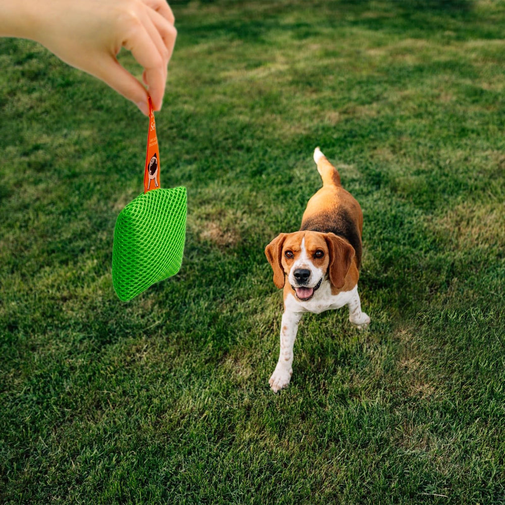 BabieDtOyG gift box included with scent training kit for easy gifting