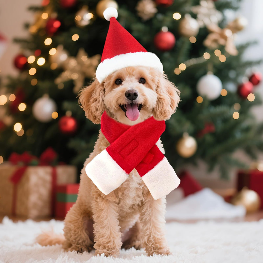 giftmissu Christmas photo-op with complete outfit