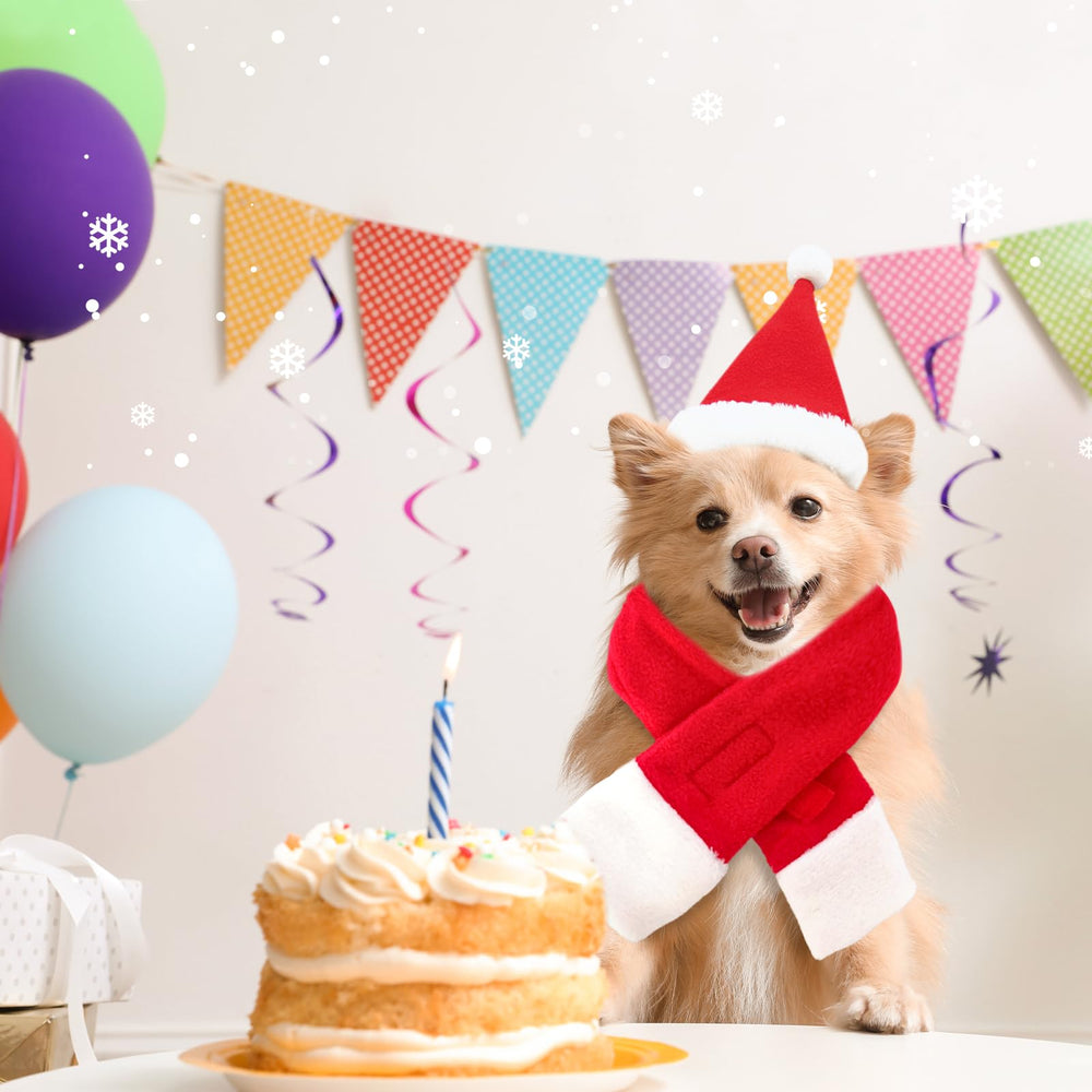 giftmissu festive outfit display for easy pet wear