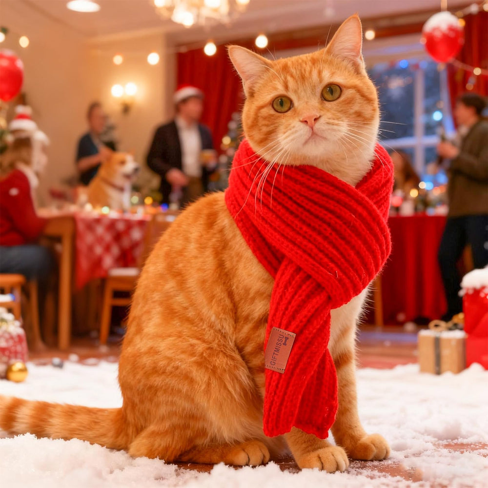 GIFTMISSU festive red-green scarf set enhances holiday photos.