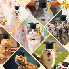 GIFTMISSU pet graduation photo-session cap, perfect accessory for memorable milestones.