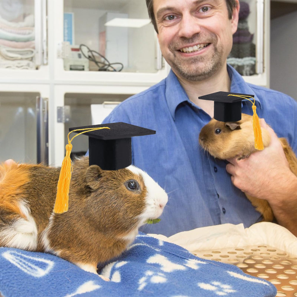 GIFTMISSU small-pet graduation cap gift idea for multiple pets or shoots.