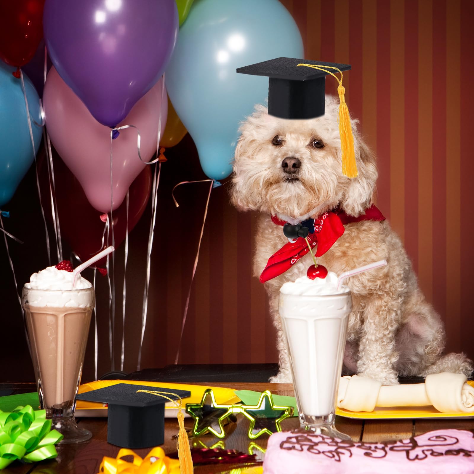 GIFTMISSU two-pack graduation caps with yellow tassels for cute multi-pet moments.