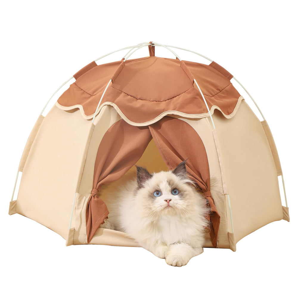 Gigreinc cat tent with flower canopy offers cozy indoor retreat.