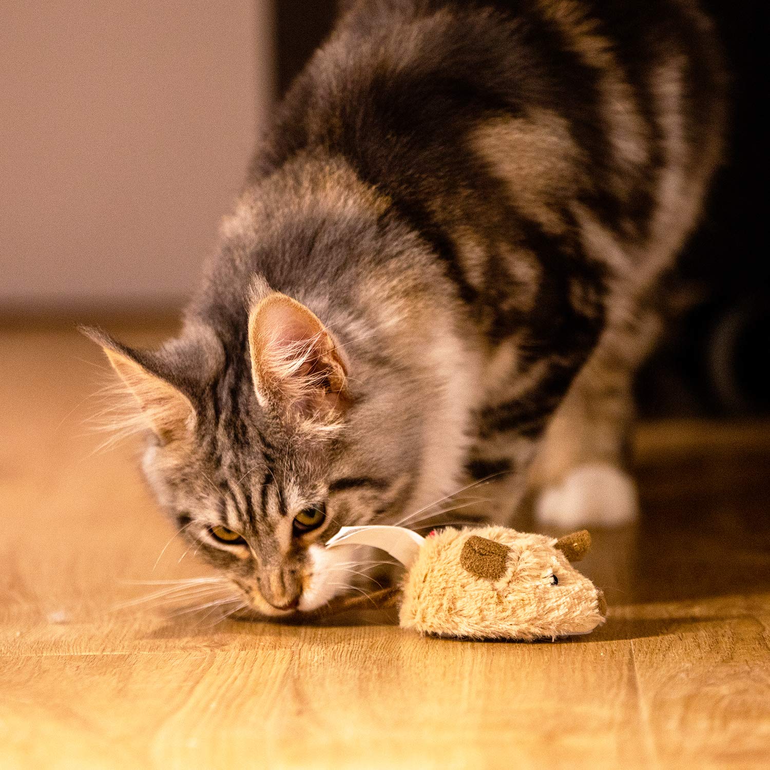 Gigwi cat toy on flat floor promotes paw taps and ongoing play