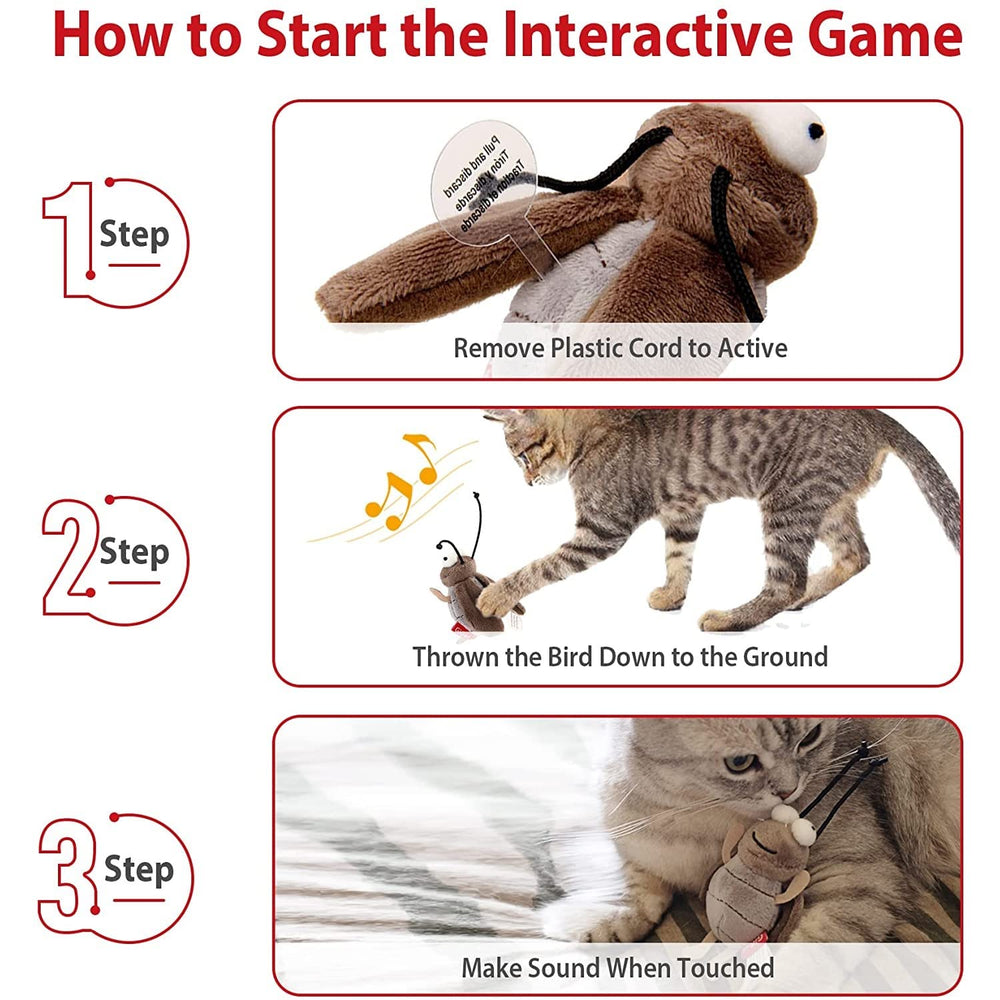 Gigwi cricket toy on carpet play captures realistic chase and exercise