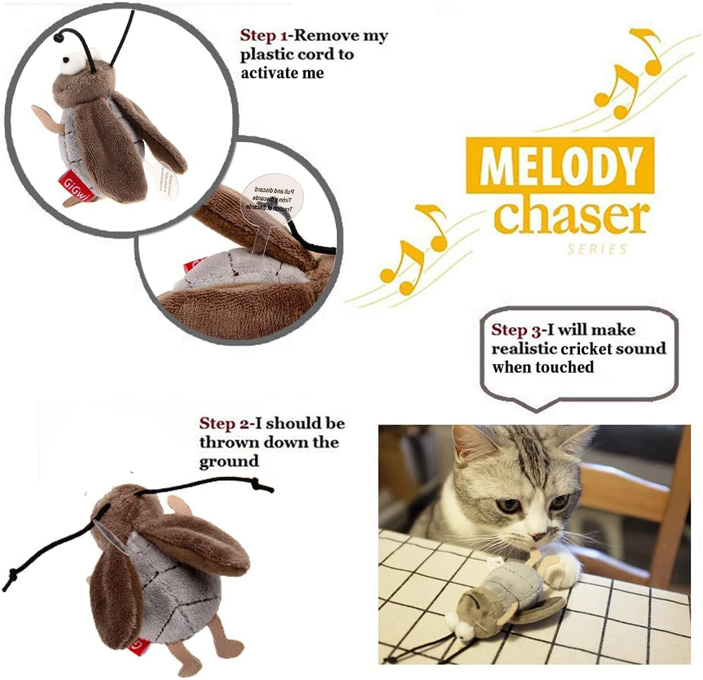 Gigwi cricket toy indoor-cat play showcases interactive stimulation for multi-cat homes