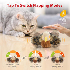 Gigwi flapping bird toy with rope hanger enables ceiling-to-floor chasing.
