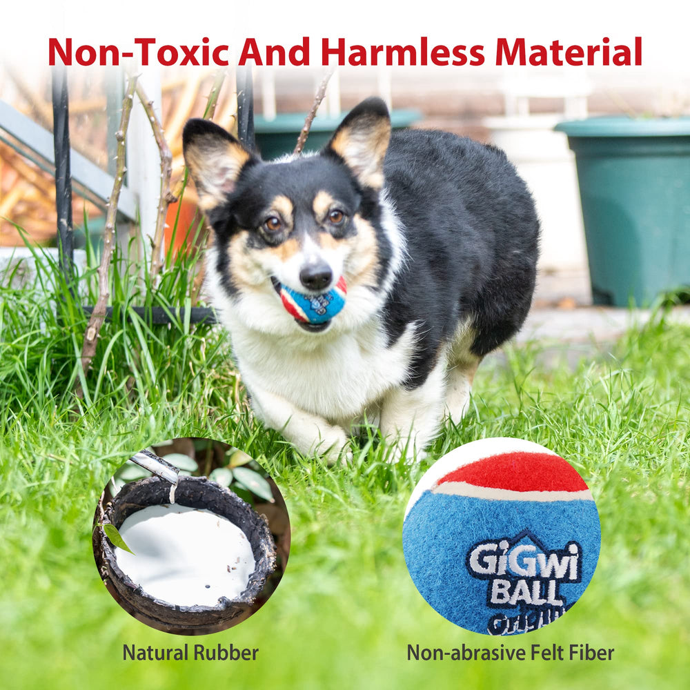 Gigwi green squeaky ball improves visibility during dusk outdoor play.