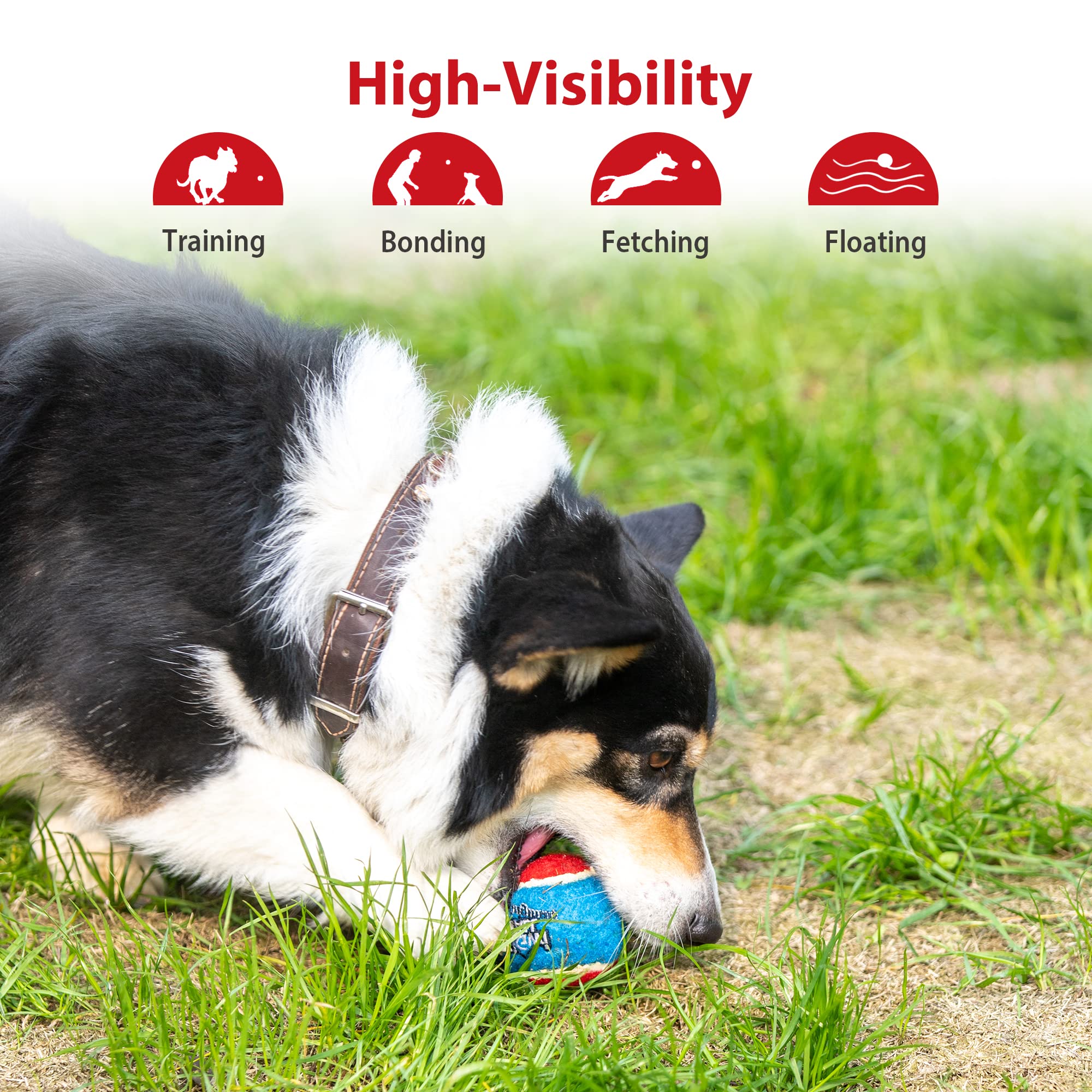 Gigwi high-bounce ball supports lively chasing and longer sessions.