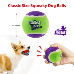 Gigwi pink squeaky tennis ball boosts curiosity during training.