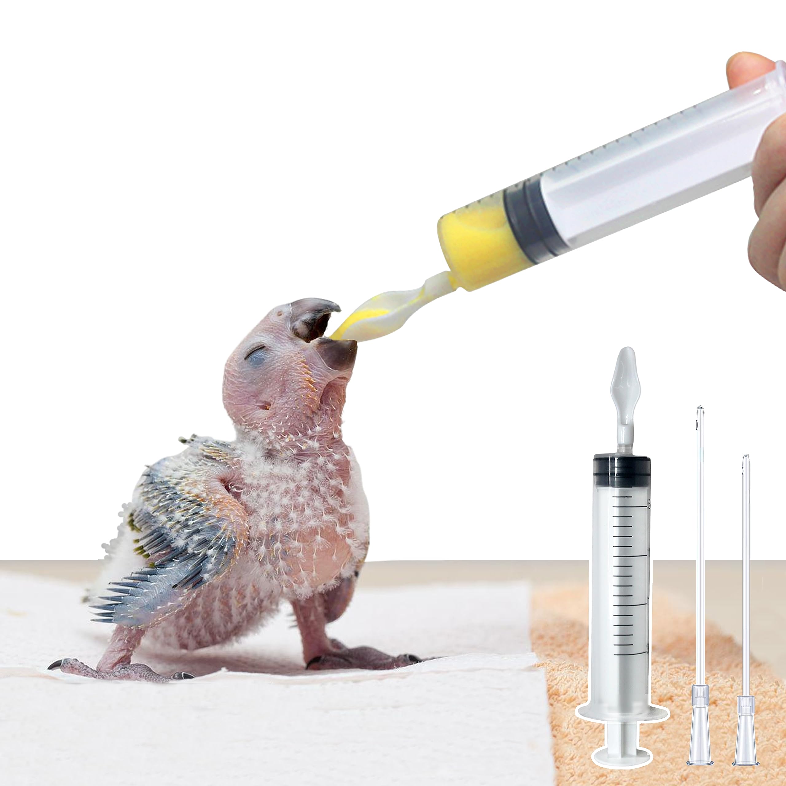 Giiiiump care moments with a versatile feeder enhances everyday bird care.