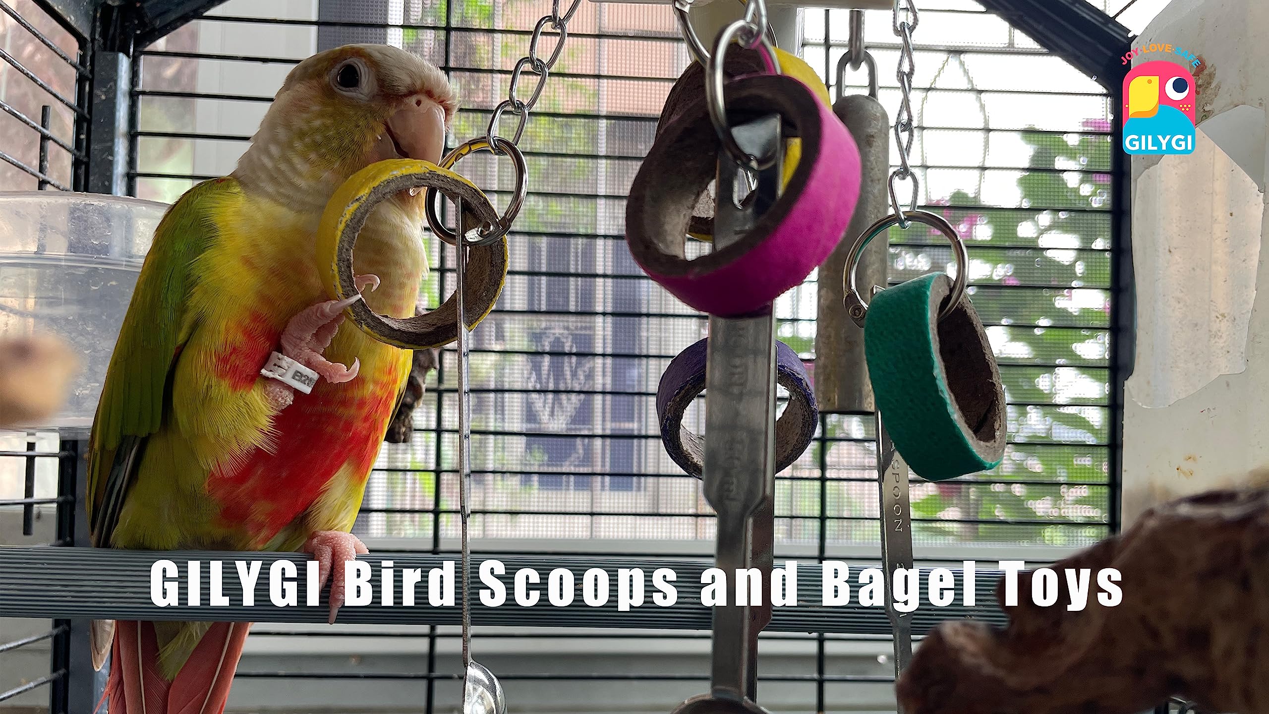 GILYGI easy-hang setup helps quick cage enrichment.