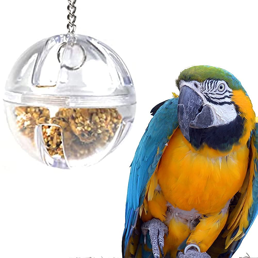 GILYGI forager ball in action with a curious parrot.