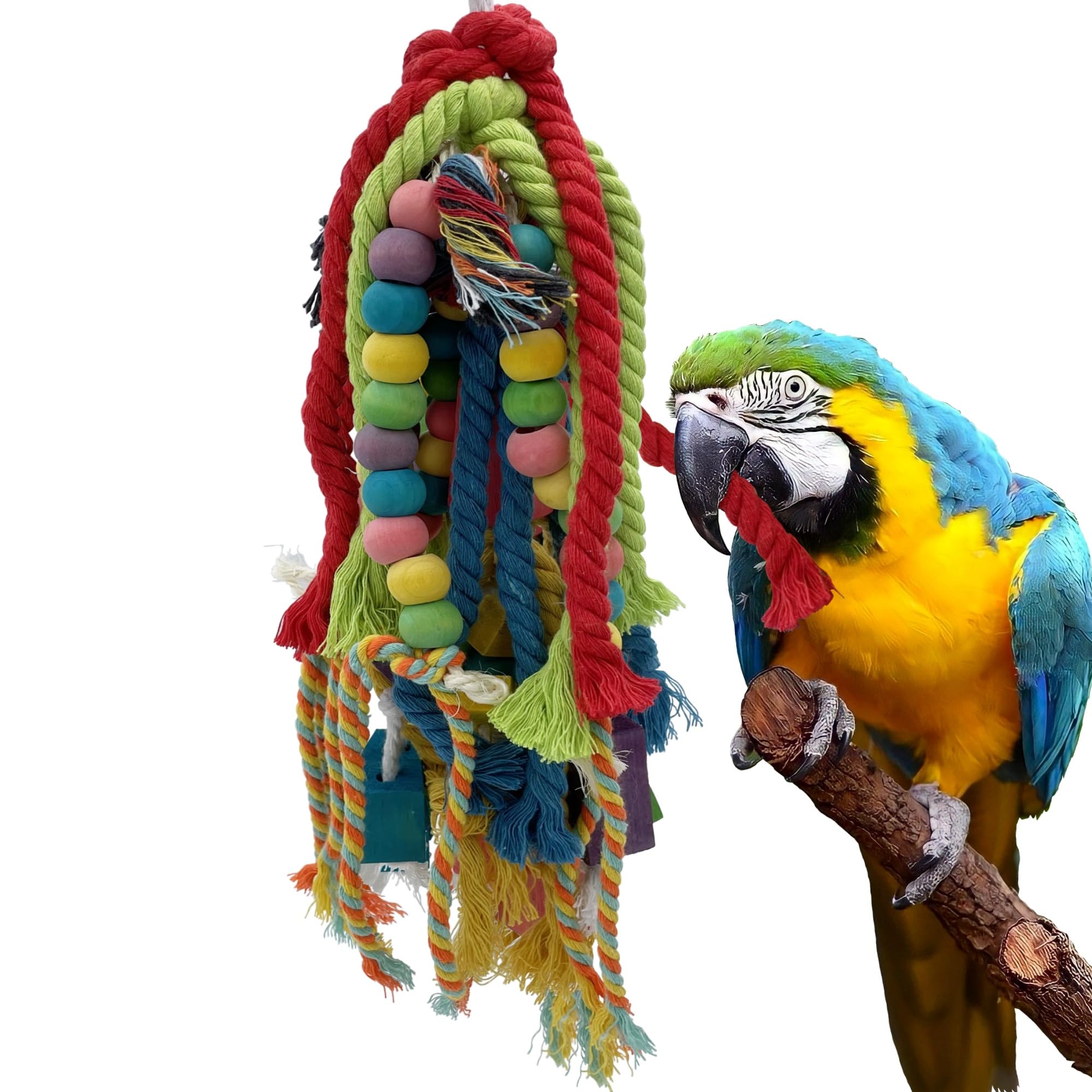 GILYGI parrot toy wood blocks for durable chewing and long-lasting playtime
