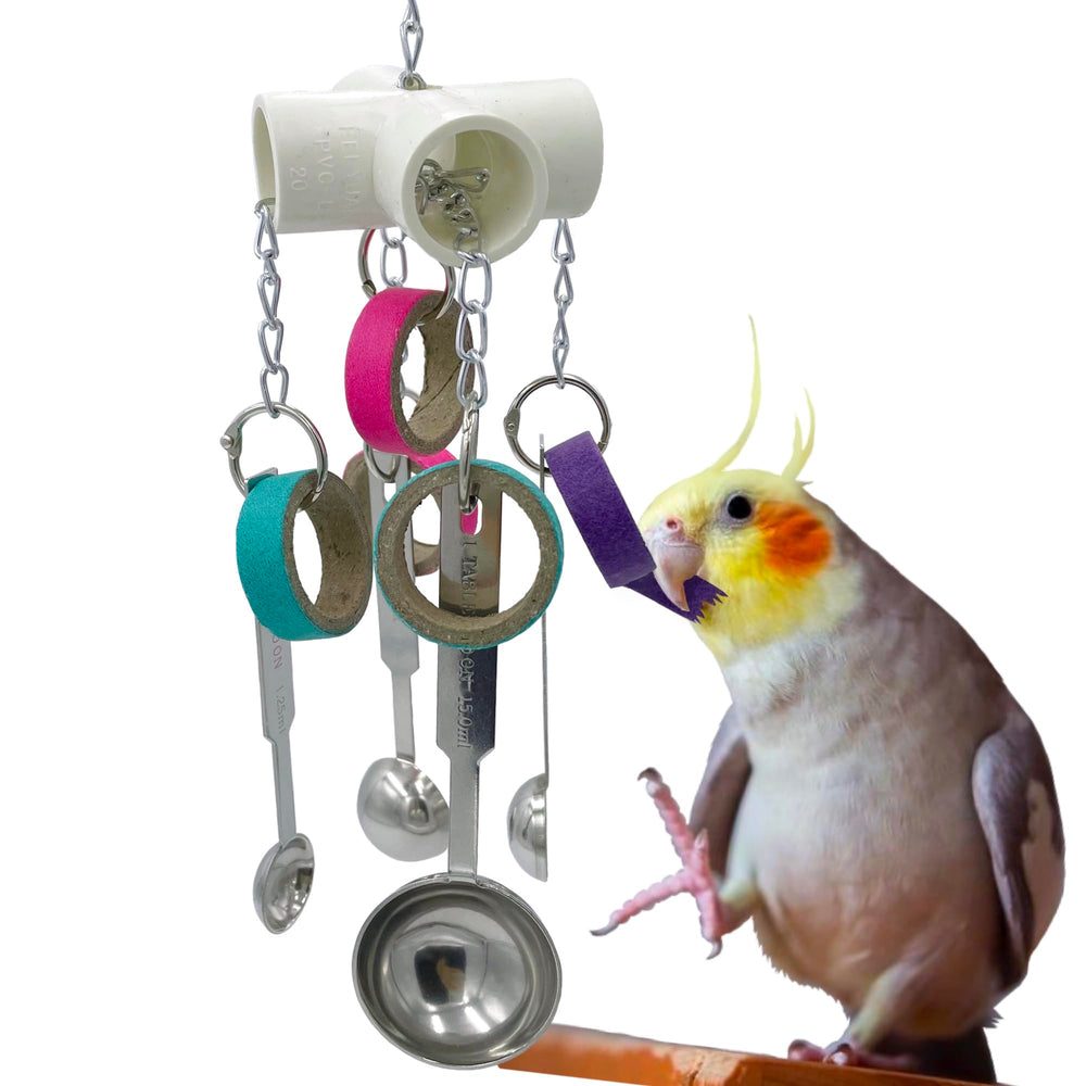 GILYGI scoops and bagel toys engage parrots with colorful enrichment.