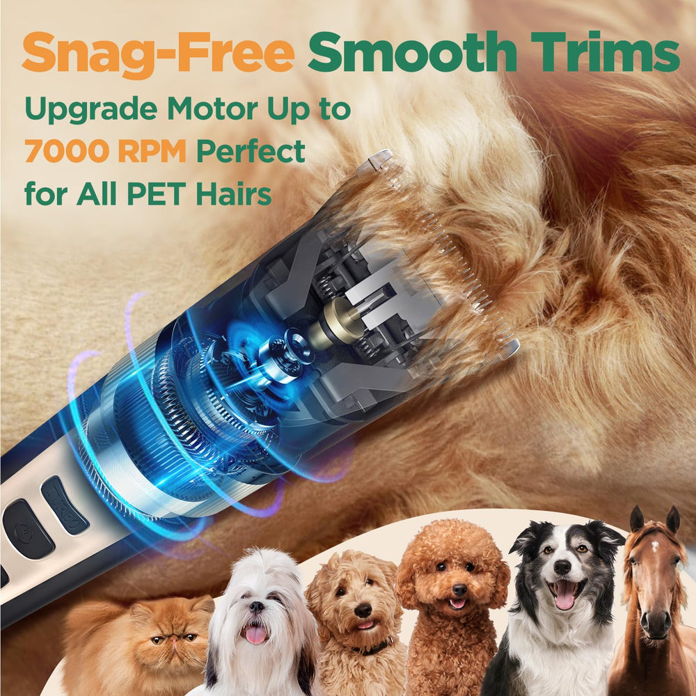 Gimars 4-in-1 clippers interchangeable blades enable precise trimming.