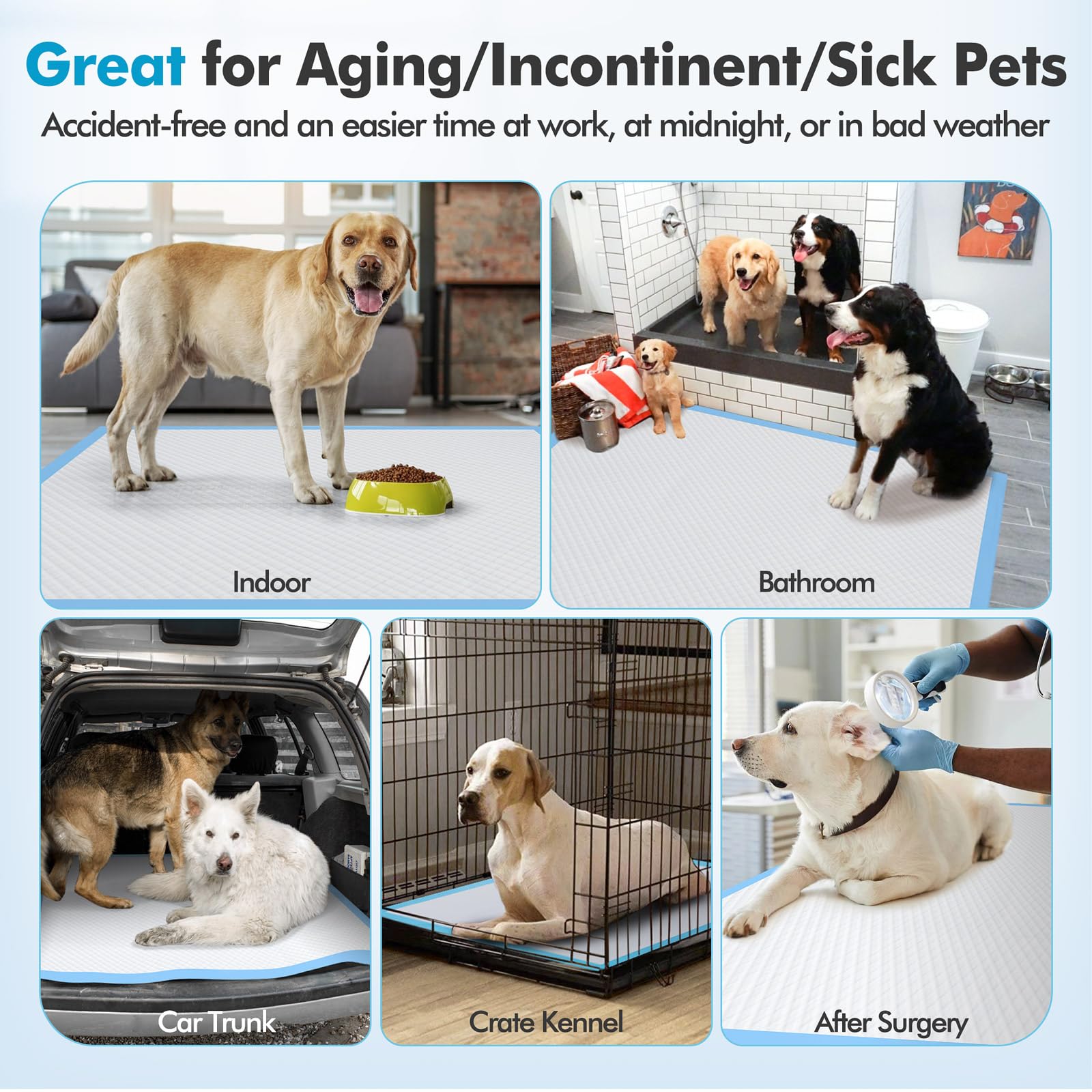 Gimars pads fit large dogs and multi-pet households during daily use.