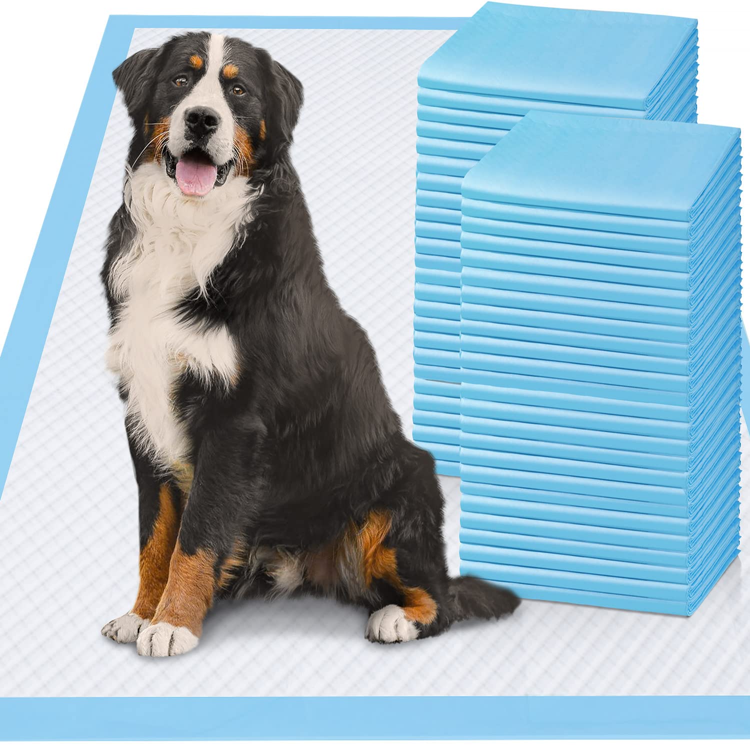 Gimars 100-count pack offers bulk convenience and easy disposal.