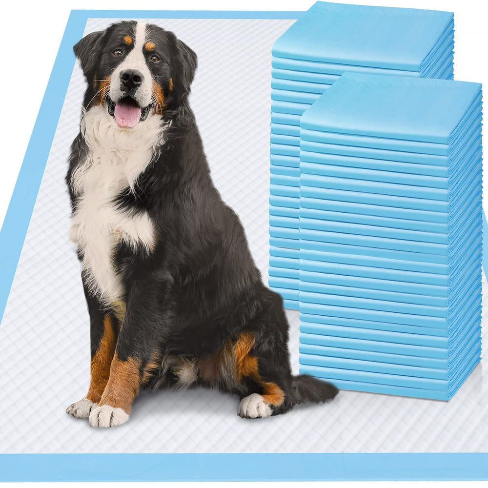 Gimars 100-count pack offers bulk convenience and easy disposal.