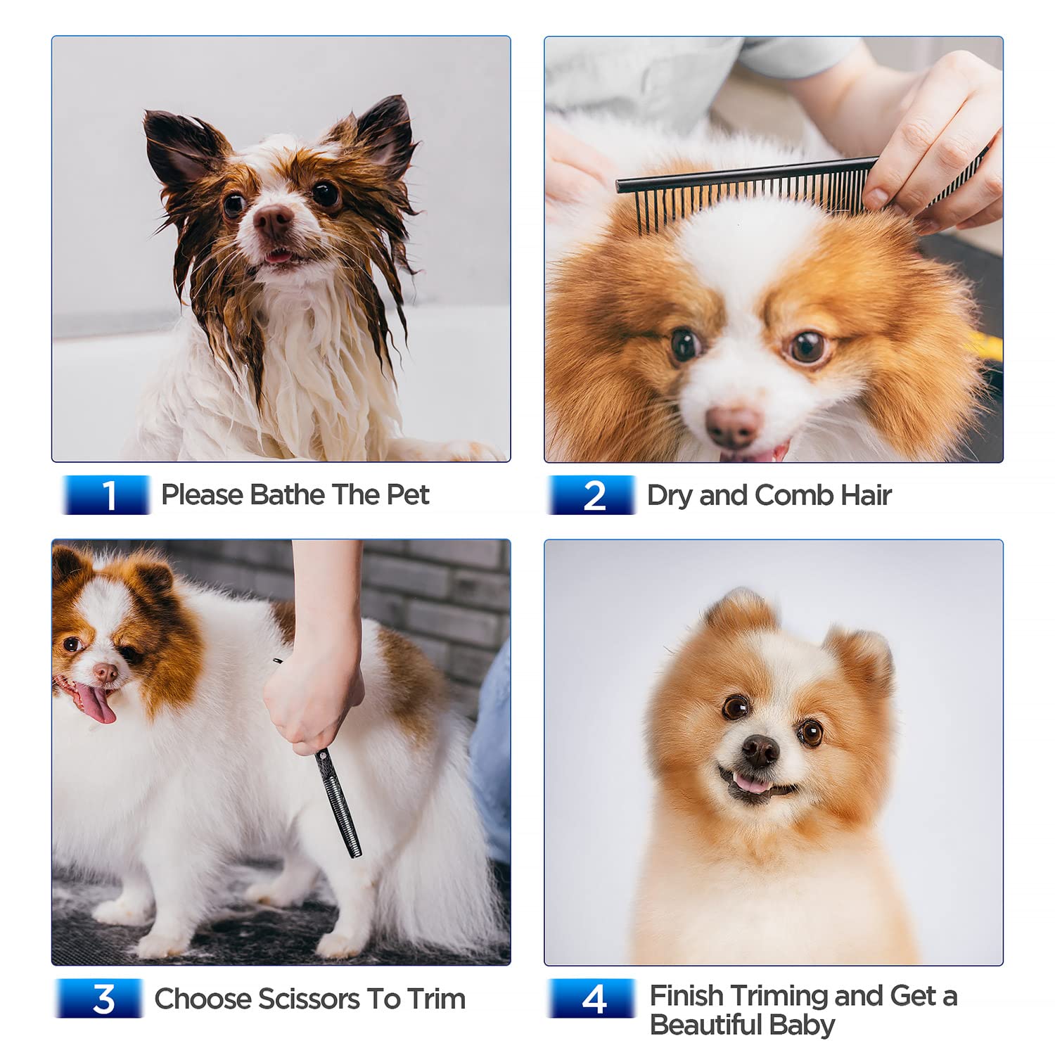Gimars dog grooming scissors safety rounded tips reduce poking during trimming.
