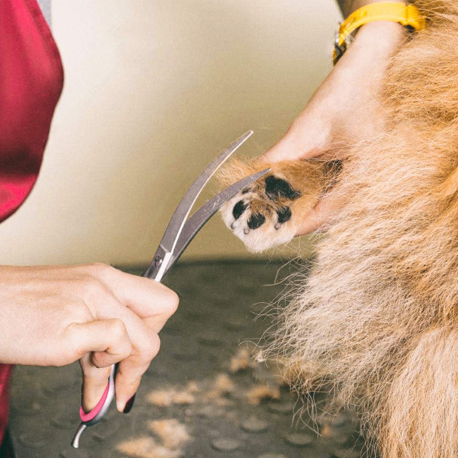 Gimars ergonomic handles provide comfortable grip for extended grooming sessions