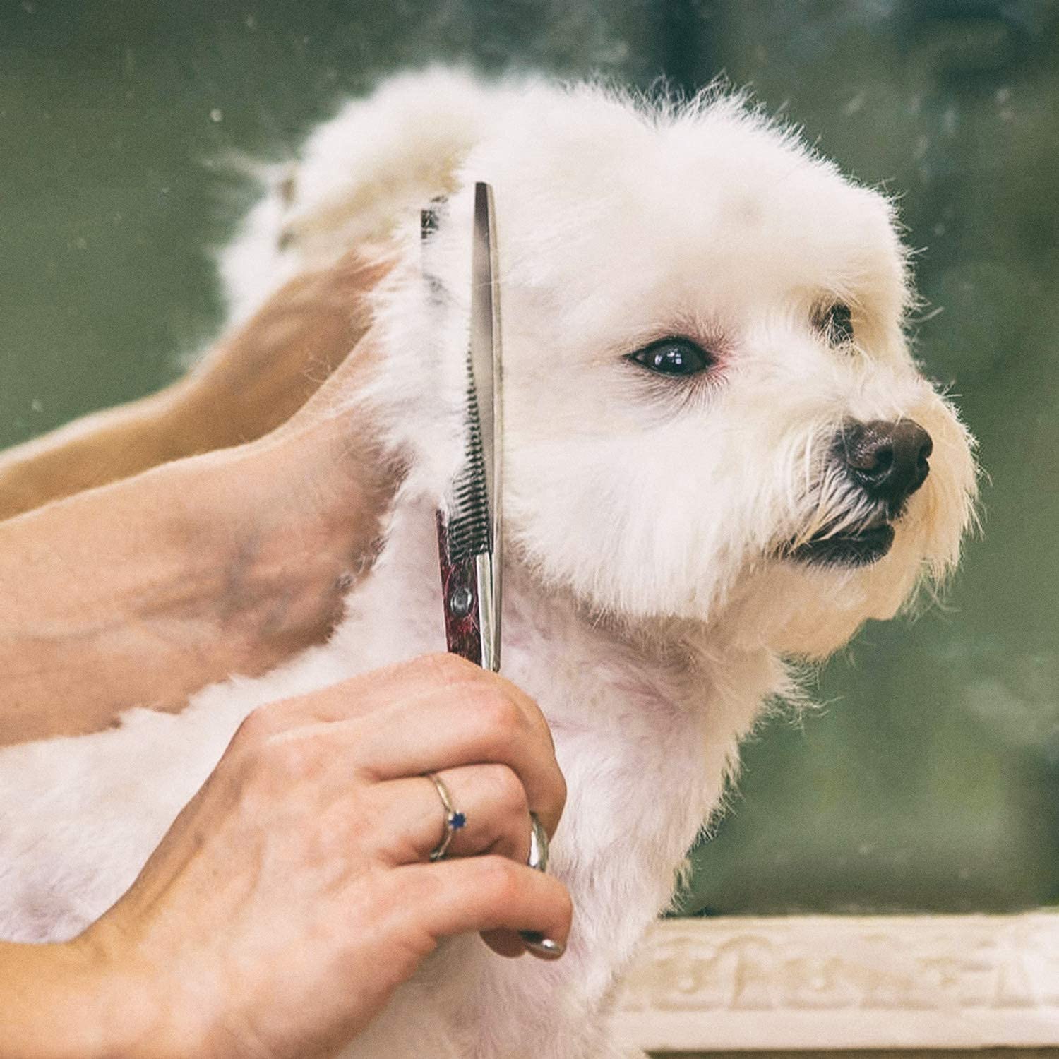 Gimars grooming comb and storage case accompany the scissors for organized grooming
