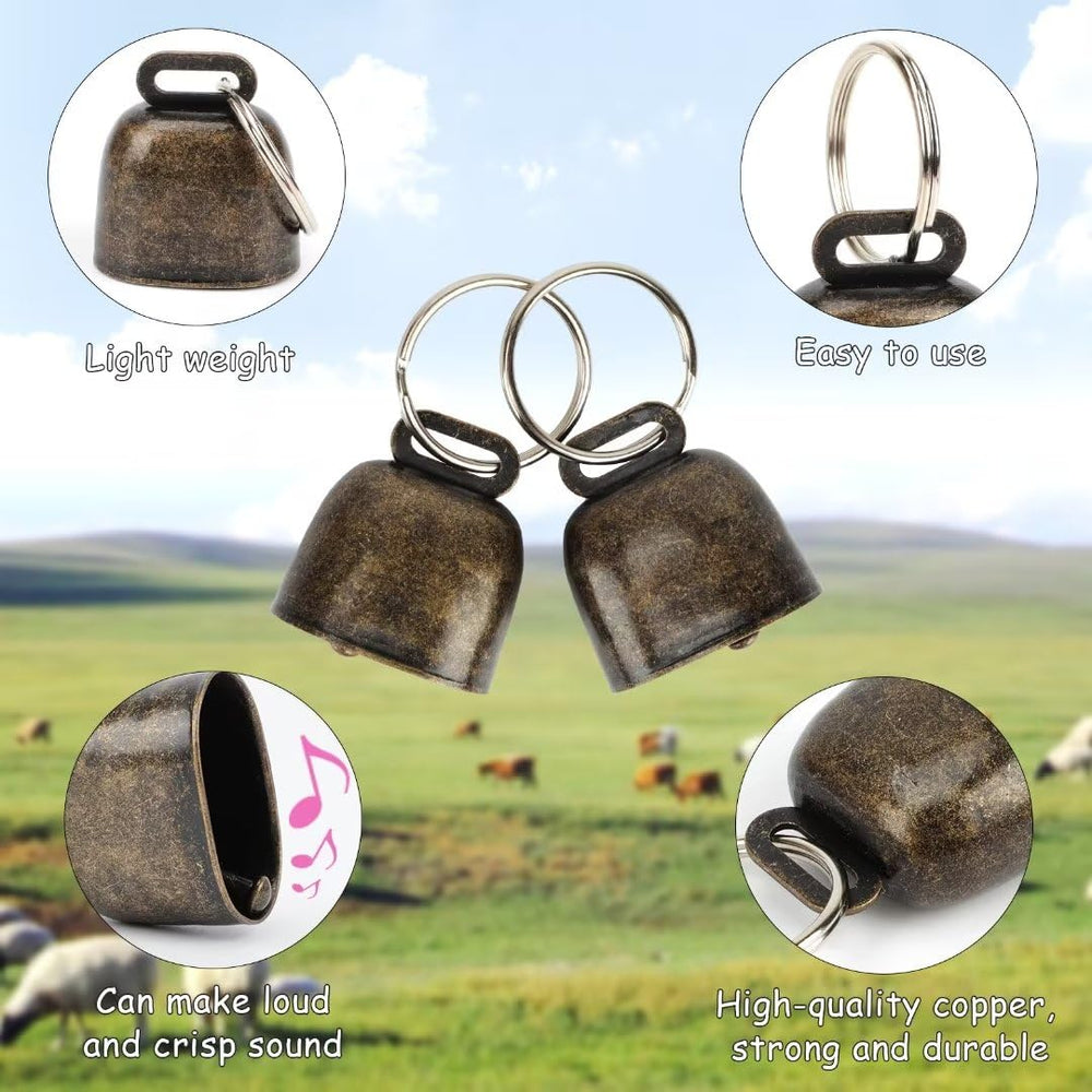 GINDOOR collar D-rings and hardware ready for long-term use