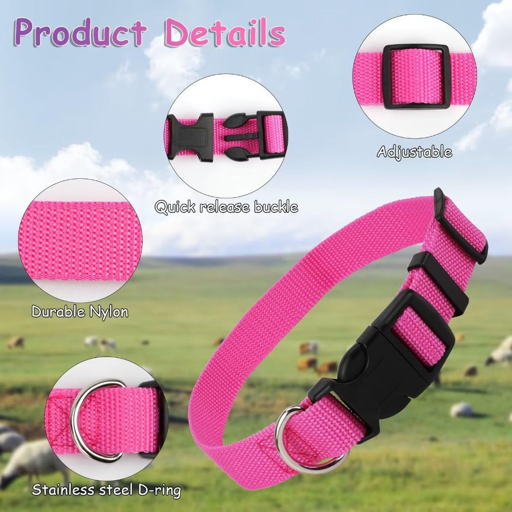 GINDOOR five-color collars differentiate goats and sheep on pasture