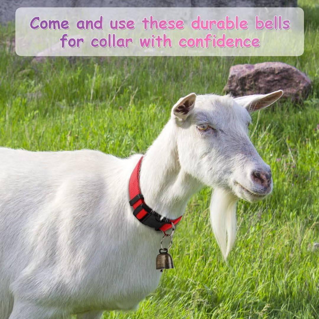 GINDOOR package of five collars with bells and key rings