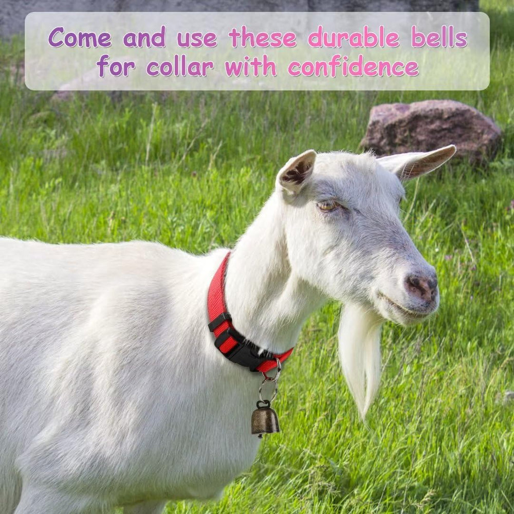 GINDOOR package of five collars with bells and key rings